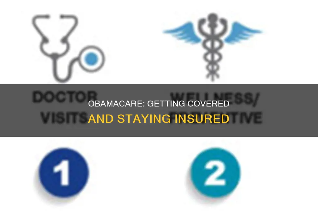 how to obtain obamacare