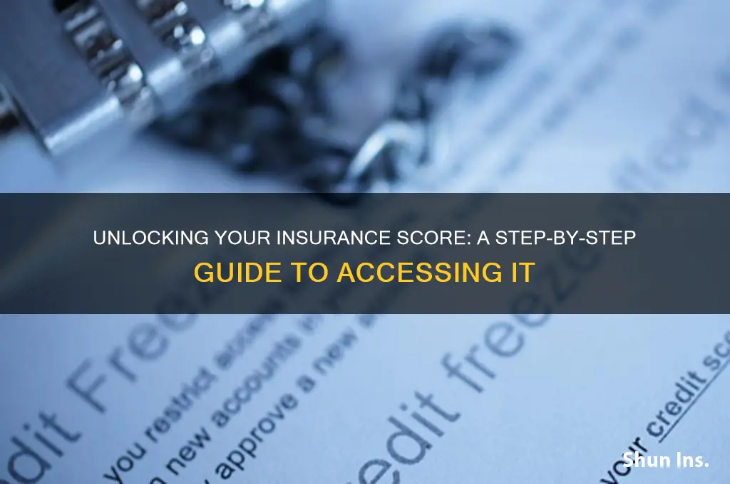 how to obtain your insurance score
