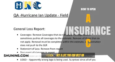 Opening an Insurance Company: A Step-by-Step Guide