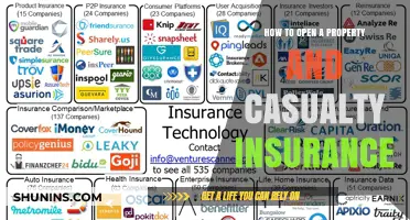 Starting Your Property and Casualty Insurance: A Guide