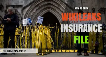 Unlocking Wikileaks: Accessing the Insurance File