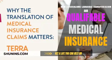 Navigating Language Barriers and Complex Insurance Qualifications