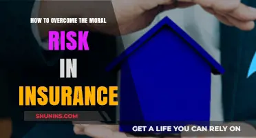 Navigating Insurance: Overcoming Moral Hazards