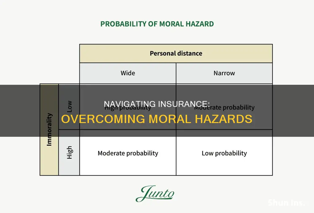 how to overcome the moral risk in insurance