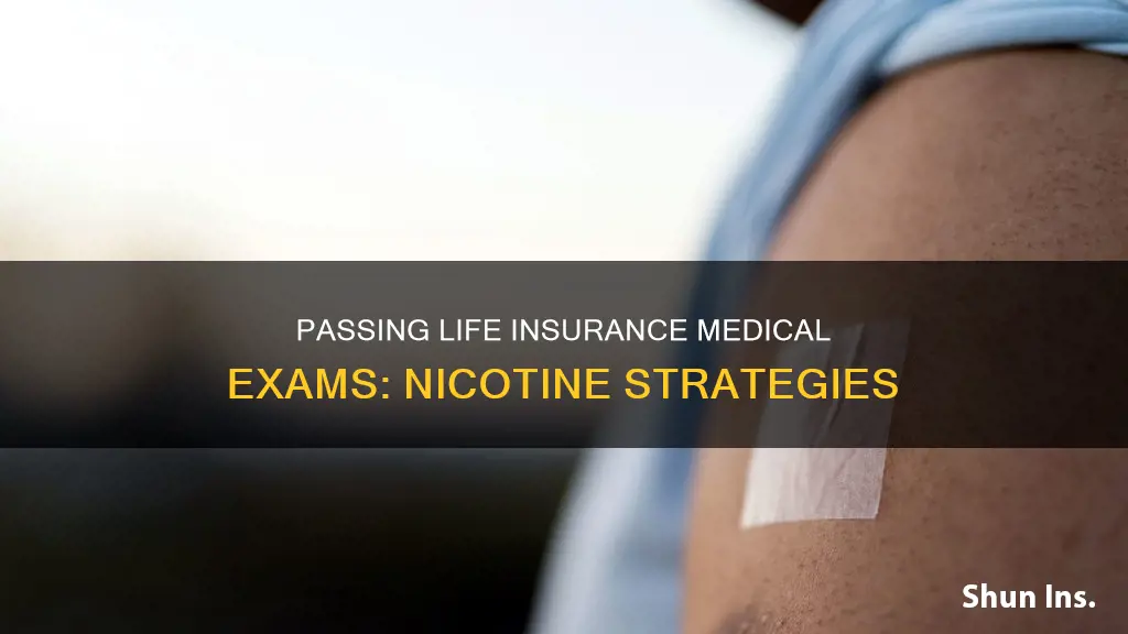how to pass life insurance medical exam nicotine