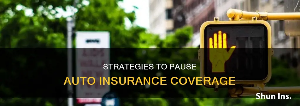 how to pause auto insurance