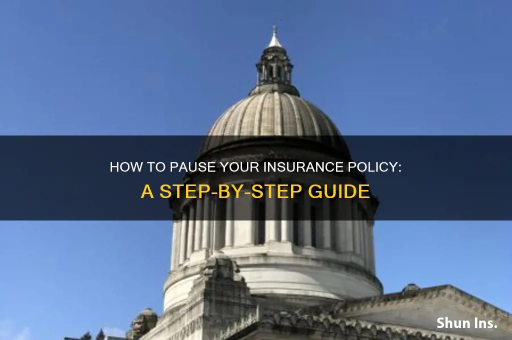 how to pause insurance