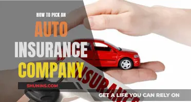 Choosing the Right Auto Insurance: Key Considerations