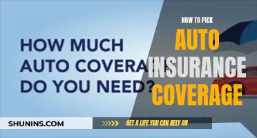 Choosing Auto Insurance: Coverage Basics