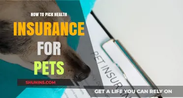 Paws and Policies: A Guide to Choosing the Perfect Pet Health Insurance
