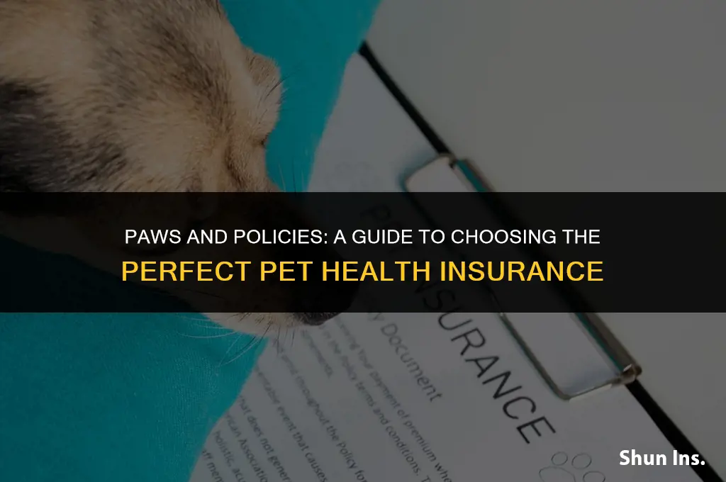 how to pick health insurance for pets