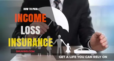 Choosing the Right Income Loss Insurance: A Comprehensive Guide