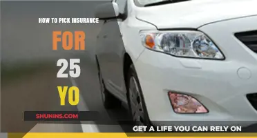 Smart Insurance Choices: A 25-Year-Old's Guide to Coverage