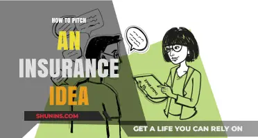 Mastering the Art of Pitching Your Insurance Idea to Investors