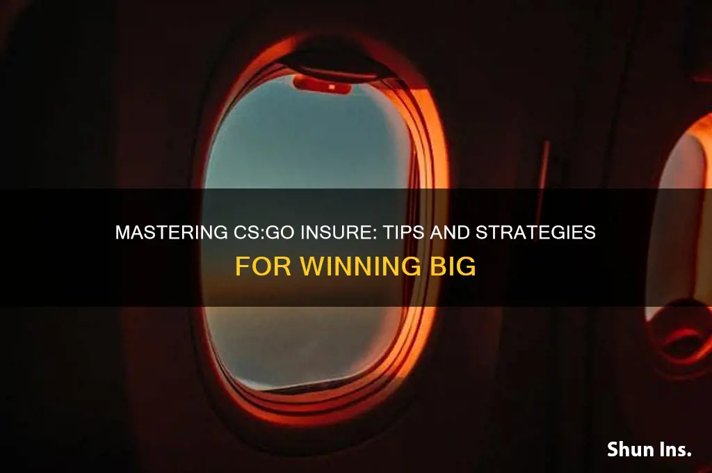how to play with insure csgo