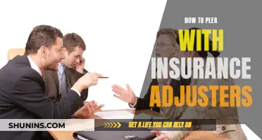 Negotiating with Insurance Adjusters: Strategies for a Successful Plea