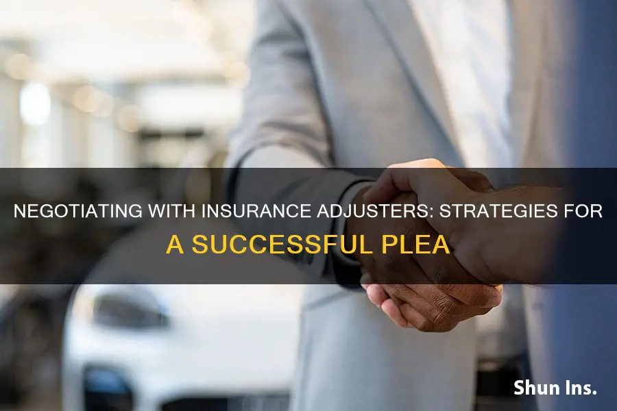 how to plea with insurance adjusters