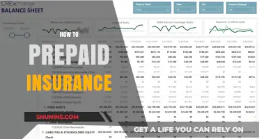 Mastering Prepaid Insurance: A Step-by-Step Guide to Smart Coverage