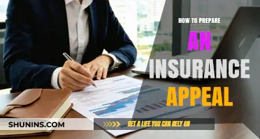 Mastering Insurance Appeals: A Step-by-Step Guide to Prepare and Win