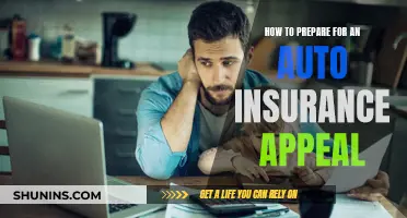 Strategies to Prepare for Auto Insurance Appeal