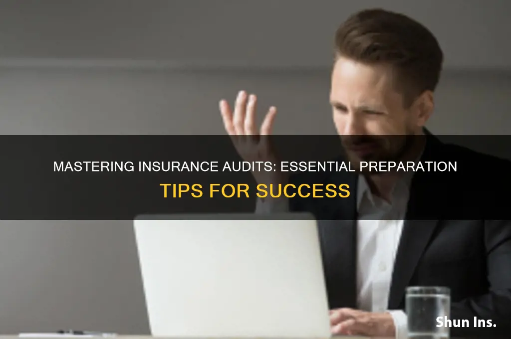 how to prepare for an insurance audit