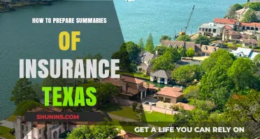 Mastering Texas Insurance Summaries: A Comprehensive Preparation Guide