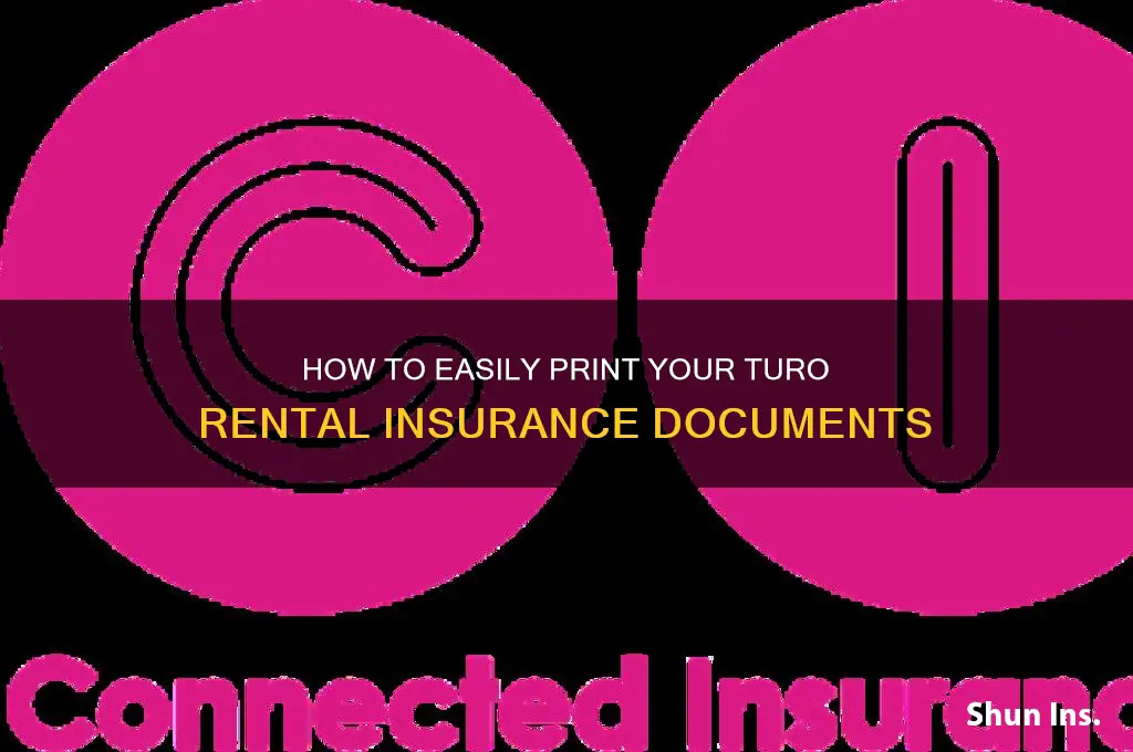 how to print my turo rental insurance