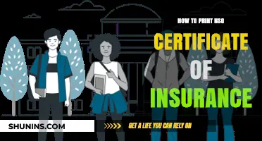 Print Your NSO Certificate of Insurance: A Step-by-Step Guide