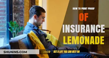 Easy Steps to Print Your Lemonade Insurance Proof Quickly