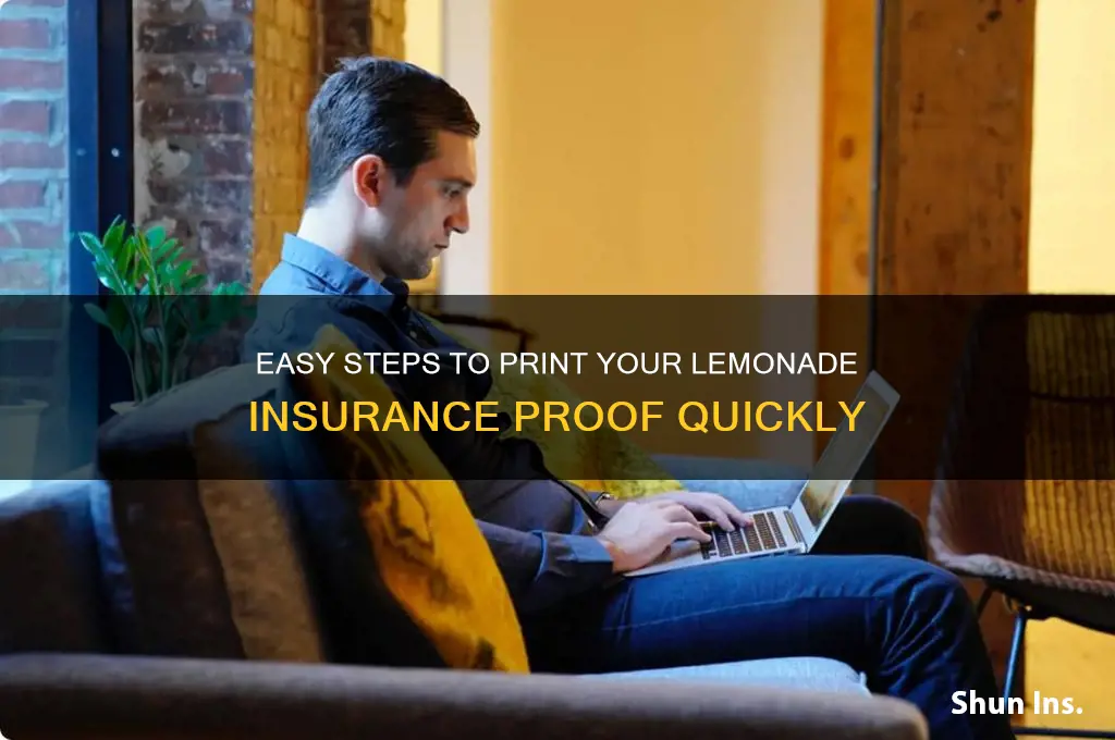how to print proof of insurance lemonade