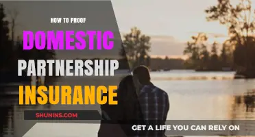 Proving Domestic Partnership for Insurance: A Step-by-Step Guide