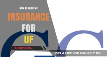 How to Provide Proof of Insurance for University of Florida Students