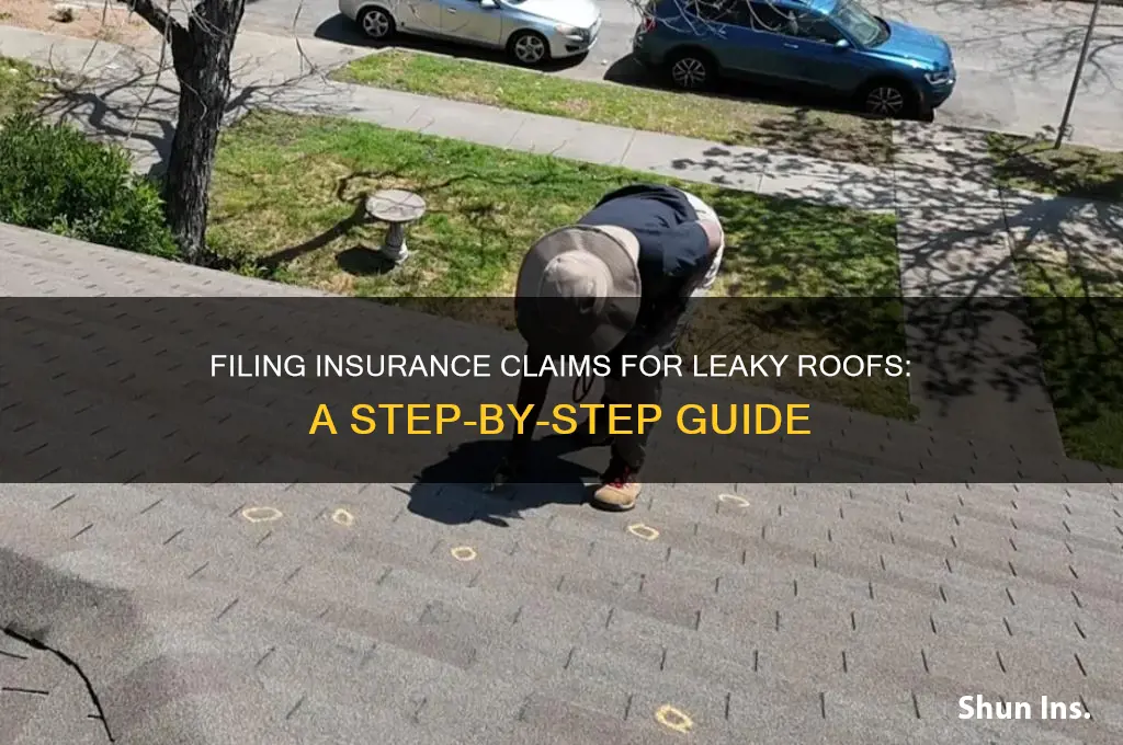 how to properly file with insurance a leaky roof