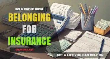 Mastering Insurance Itemization: A Guide to Cataloging Your Belongings Effectively