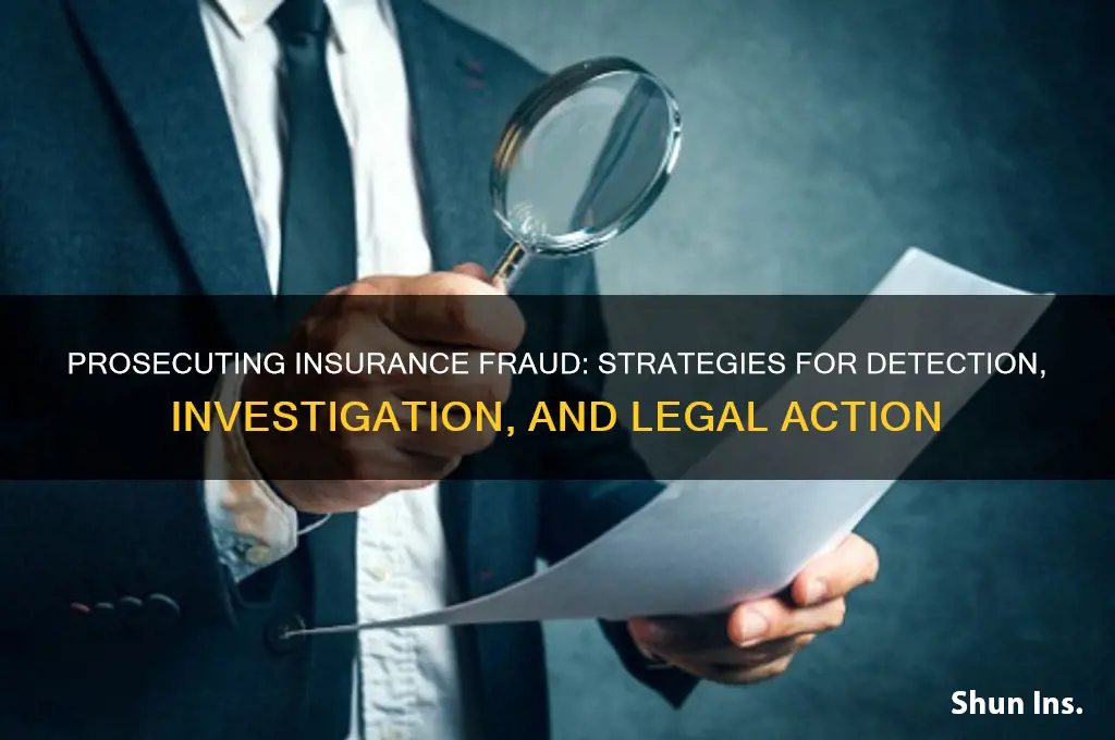 how to prosecute insurance fraud