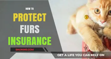 Secure Your Furs: Essential Insurance Tips for Protection and Peace