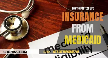 Maximize Your Life Insurance: Strategies to Shield from Medicaid