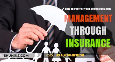 Protect Your Assets: Insurance Risk Management