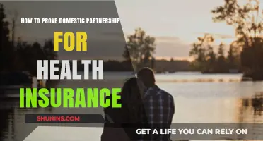 Proving Domestic Partnership for Health Insurance: A Step-by-Step Guide