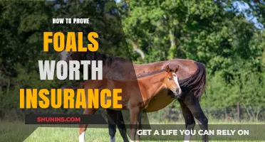 Foal Insurance: Proving Their Worth and Value