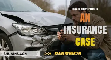 Proving Insurance Fraud: Essential Steps and Evidence to Build Your Case