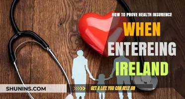 Navigating Health Insurance Requirements for Entry into Ireland