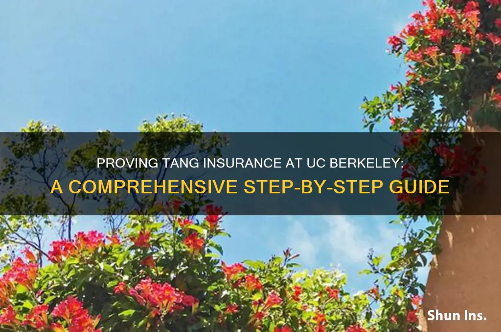 how to prove tang insurance berkeley