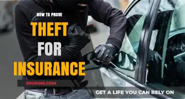 Proving Theft for Insurance Claims: Essential Steps and Evidence to Gather