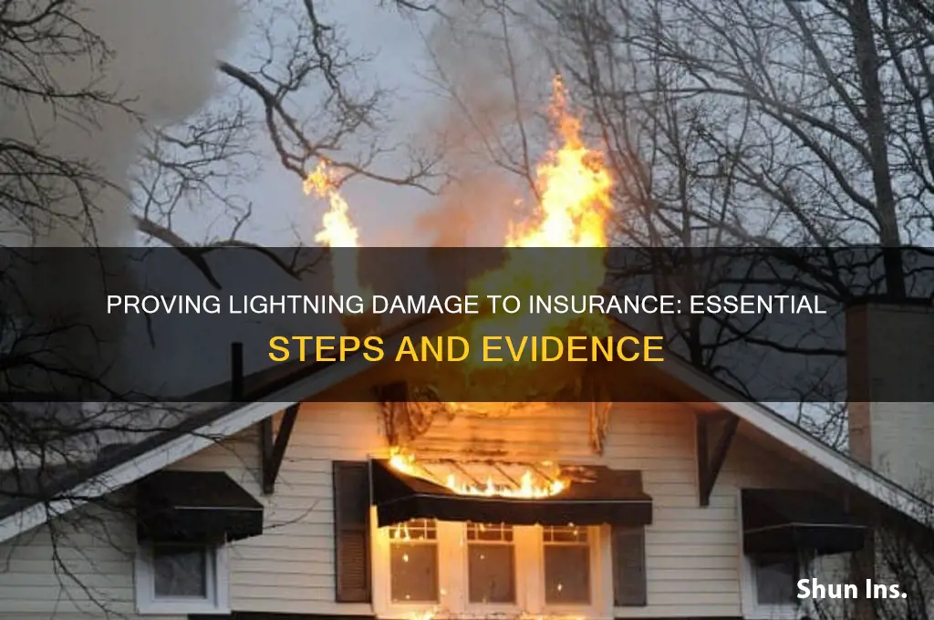 how to prove to insurance damage is from lightning