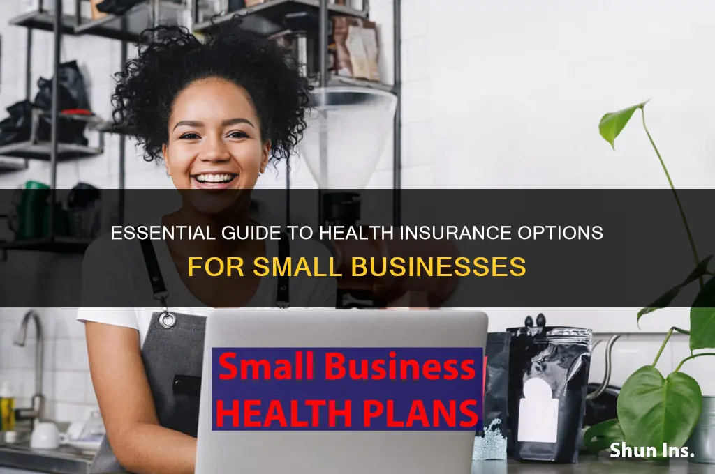 how to provide health insurance for small business
