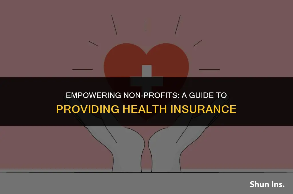 how to provide health insurance non profit