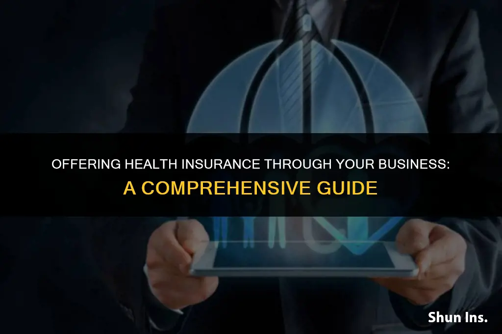 how to provide health insurance through my business