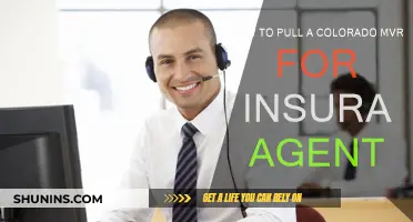Accessing Colorado MVRs: A Guide for Insurance Agents