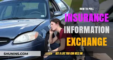 Efficiently Exchanging Insurance Information: A Step-by-Step Guide for Smooth Claims
